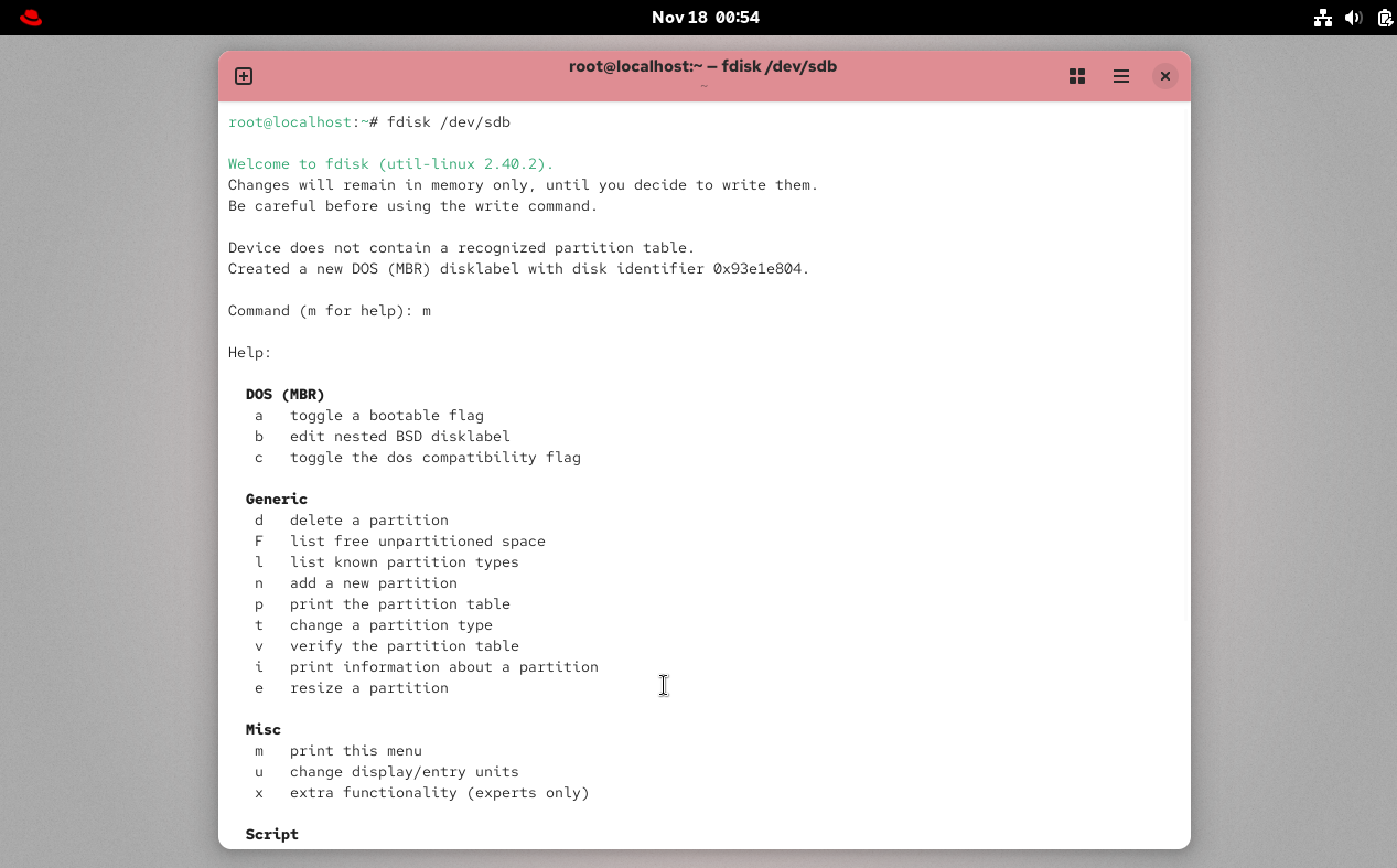 运行 fdisk /dev/sdb