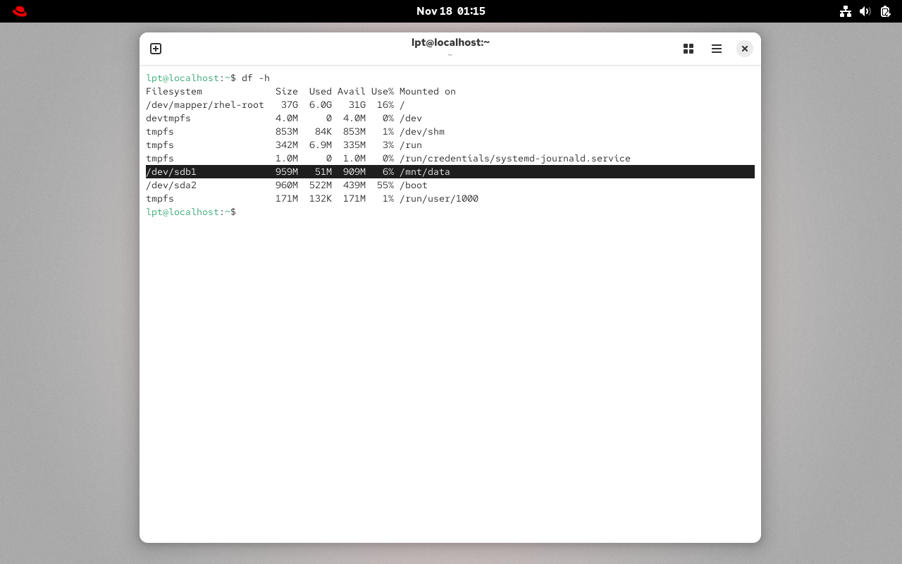 重启后验证永久挂载